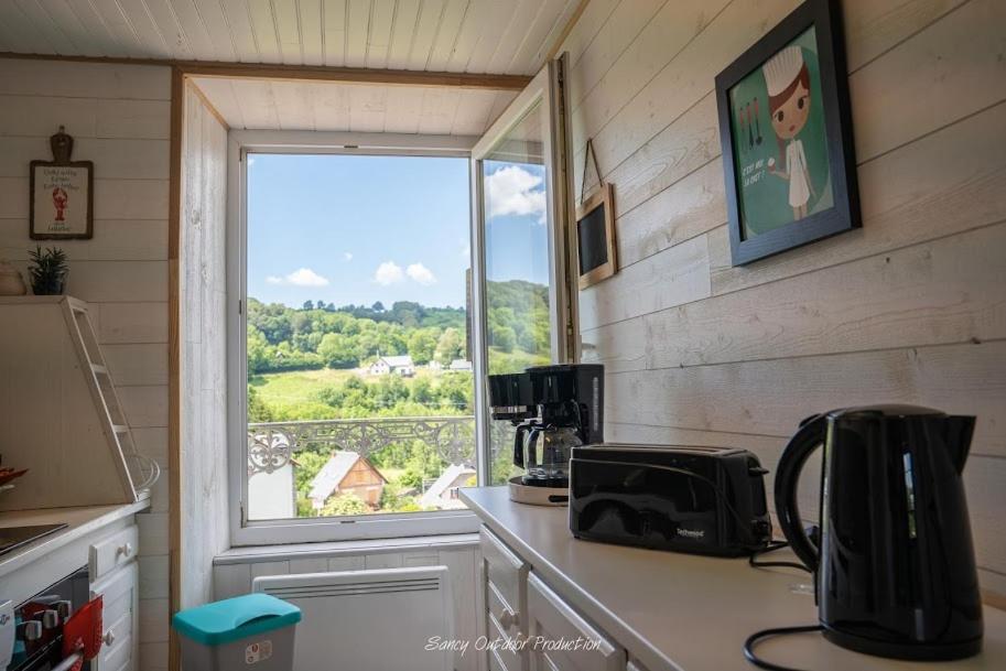 Les Tilleuls Apartment Besse-et-Saint-Anastaise
